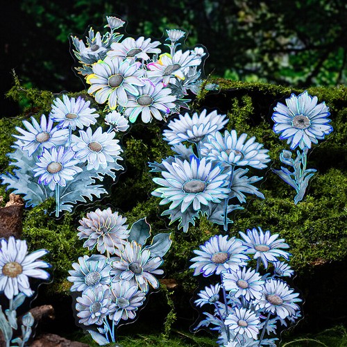 Flowers holographic pet - flowers,