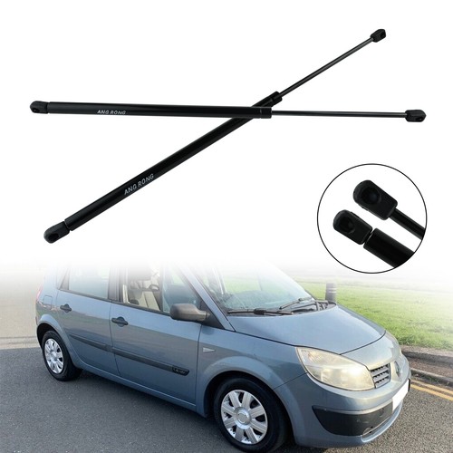 Tailgate boot trunk gas struts - tailgate,