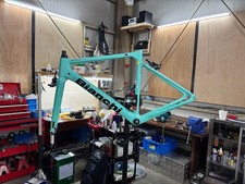 Bianchi sprint frame only