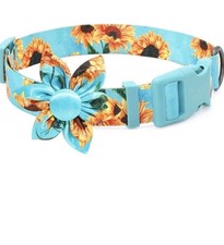 Fancy Floral Boy Dog Collar
