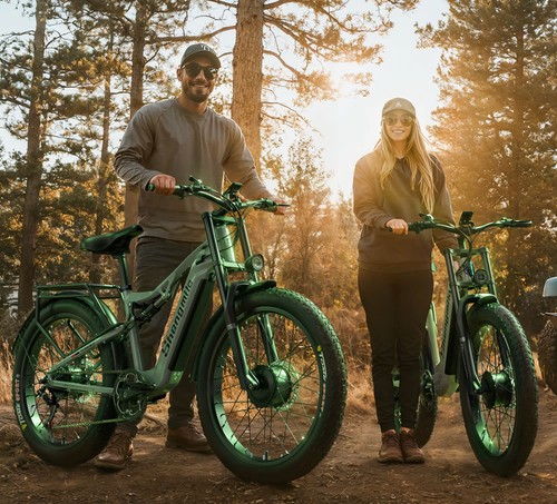 Fat tire electric bike - 26"fat, 48v