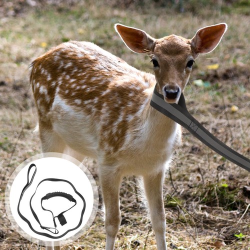 Daily use deer carrier - ,