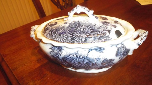 Antique vintage daisy - antique,