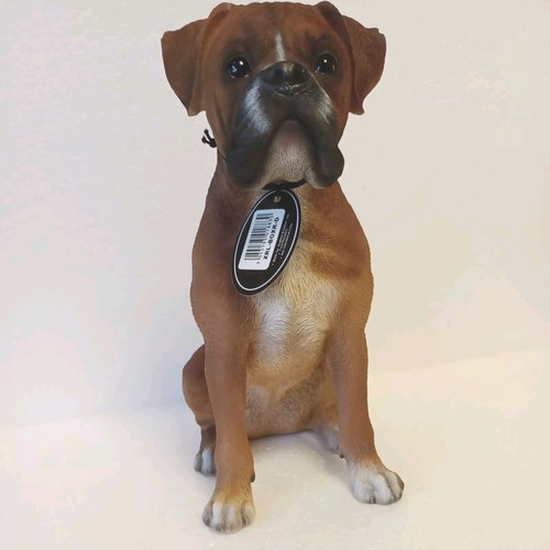 Vivid arts boxer dog - vivid,