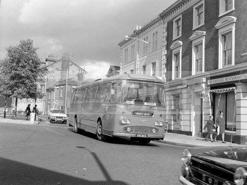 Large negative southdown - large,