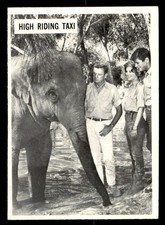 1966 Philadelphia Daktari #49