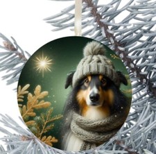 Rough Collie Sheltie Dog