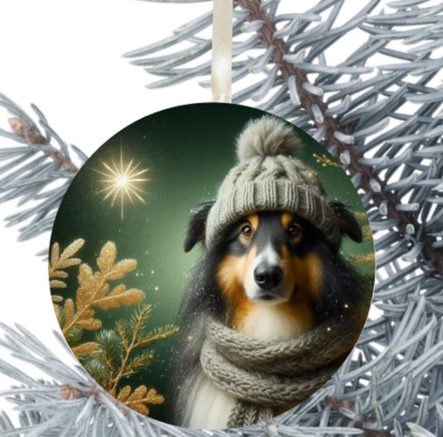 Rough collie sheltie dog - sheltie,