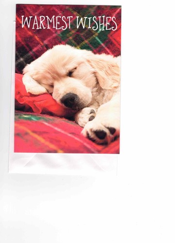 Golden retriever dog christmas - golden,