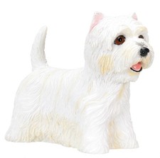 West Highland Terrier (Westie)