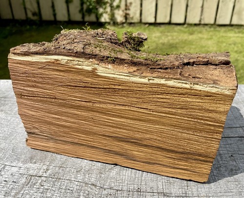 Laburnum log 5kg woodturning - log, 4.5kg