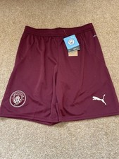 Puma Manchester City 2024/25