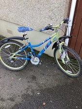 Girls Raleigh Bicycle Age 8-12