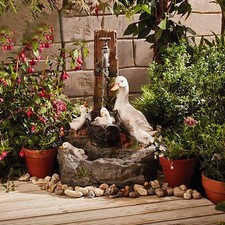 Serenity duck pond garden - serenity,