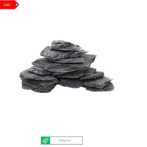 Natural slate stone - slate, reptile