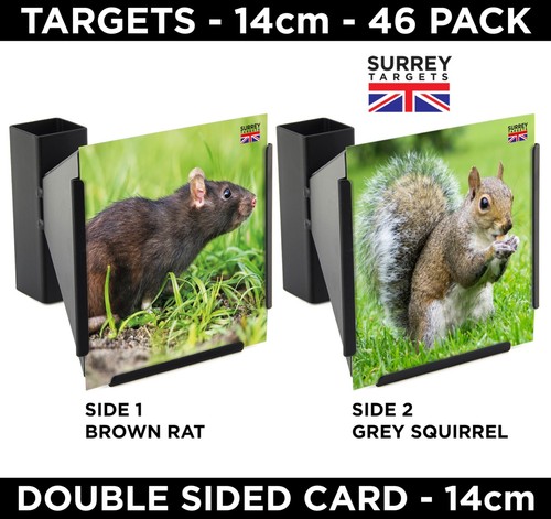 Pest control vermin rat - vermin,