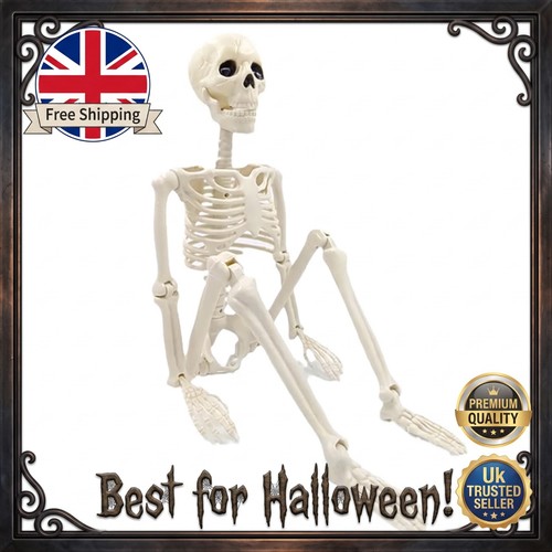 Halloween skeleton decoration - skeleton,