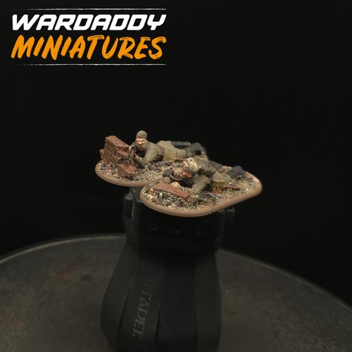 Pro painted 28mm - painted,
