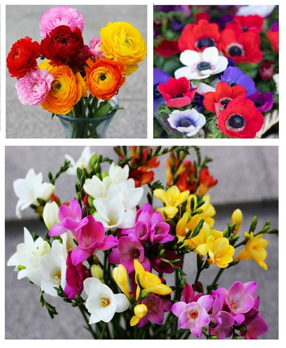 Hanging basket summer - basket, mix