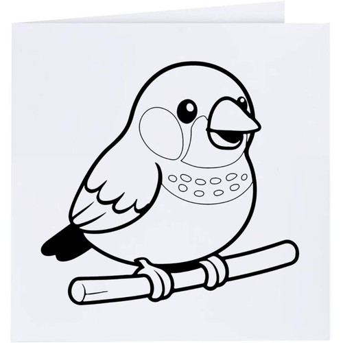 Zebra finch greeting - greeting, /