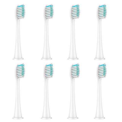 Replacement toothbrush heads - toothbrush,