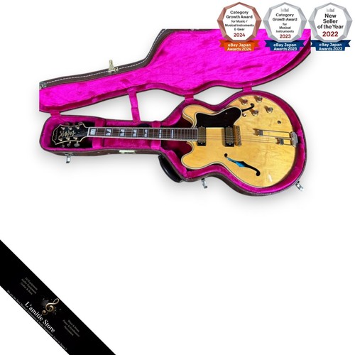 Epiphone john lee hooker - epiphone,