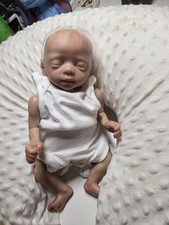 Beautiful reborn/realistic