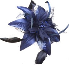 Elegant navy Blue chiffon