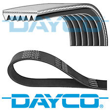 DAYCO V-RIBBED BELT 6 RIBS