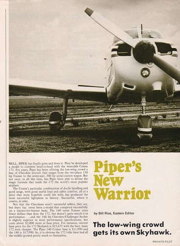 Piper warrior aircraft report - warrior,