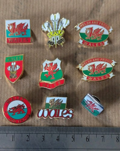 Wales enamel pin - pin, #2