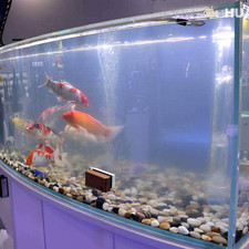 Aleker River Rock Stones