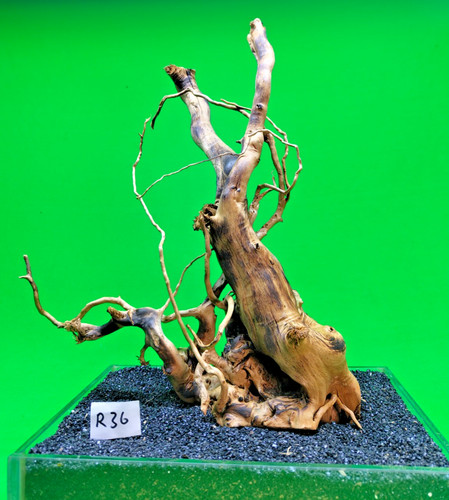 Red moor wood - red,