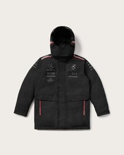 Mercedes AMG Petronas F1 Team