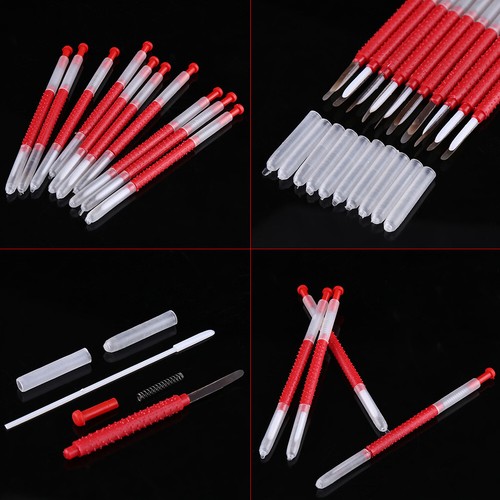10pcs beekeeping honey bee - honey,