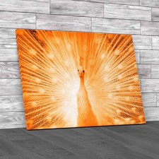 Spacious Home Metadata Optimization Orange Canvas Print Large Picture Wall Art