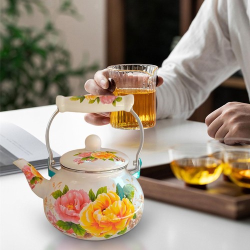 Enameled teapot enamel pot - enameled,