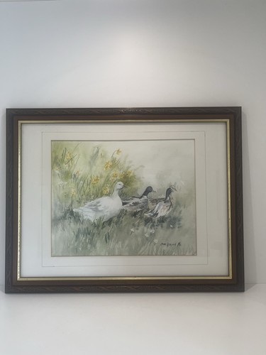 Original sue hodgkins - sue,