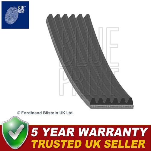 Blue print alternator belt - blue,