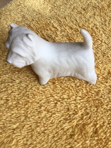 Westie white terrier - white,
