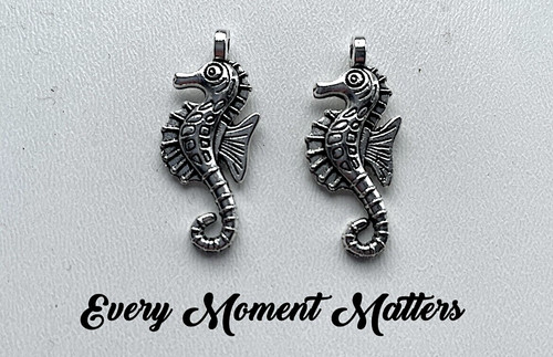 Tibetan silver seahorse - silver,
