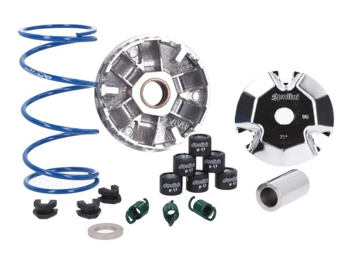 Variator polini speed for - variator,