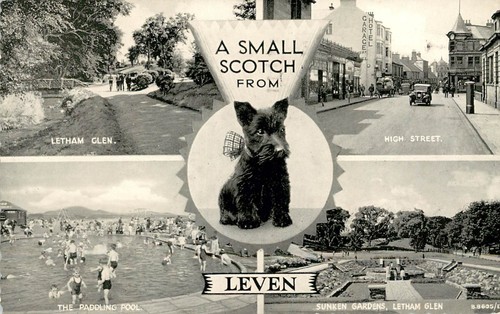 Leven small scotch - leven,
