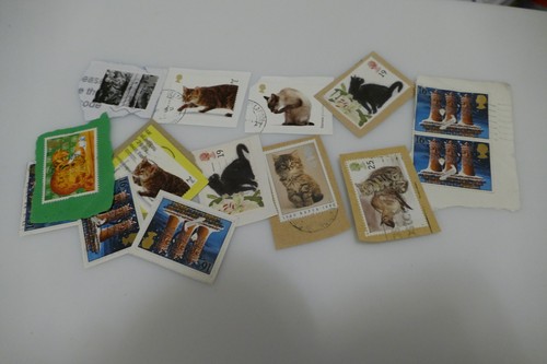 Animals cats pets used - 12,