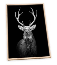 Stag Antlers Head Black CANVAS FLOATER FRAME Wall Art Picture Print