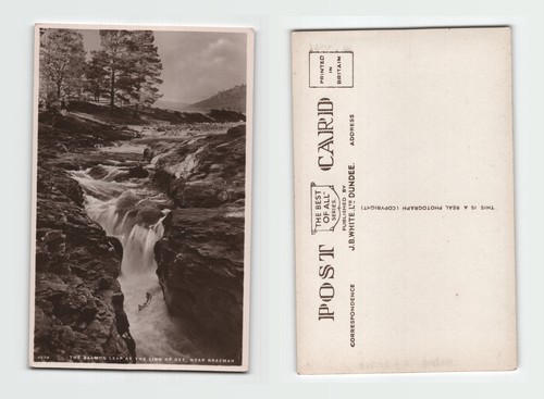 Postcard the salmon leap - -, at