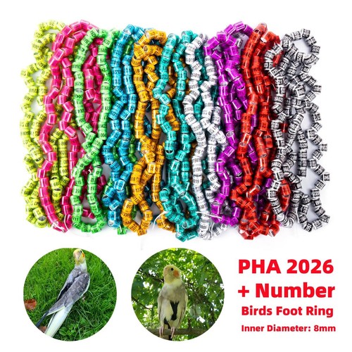 2026 multicolor 60pcs - 2026, 60pcs*8mm