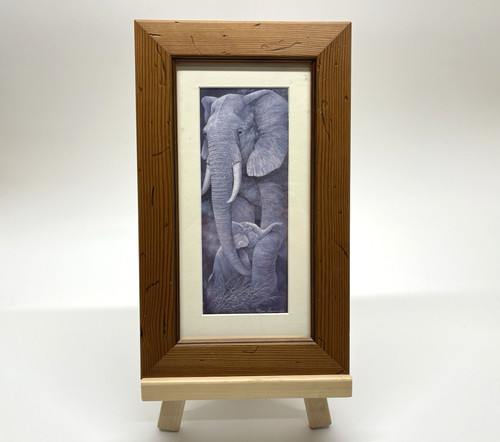 Protective care framed art - protective,