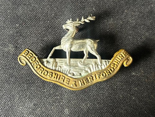 Bedfordshire and hertfordshire - bedfordshire,