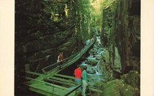 Postcard NH Flume Gorge